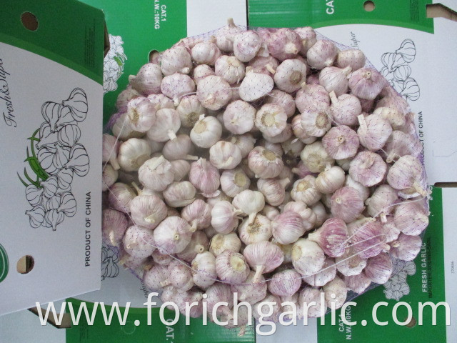 Normal Garlic Of Jinxiang